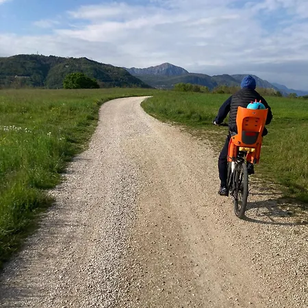 La Casa Del Gallo San Daniele del Friuli